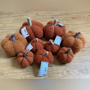 burnt orange pumpkins